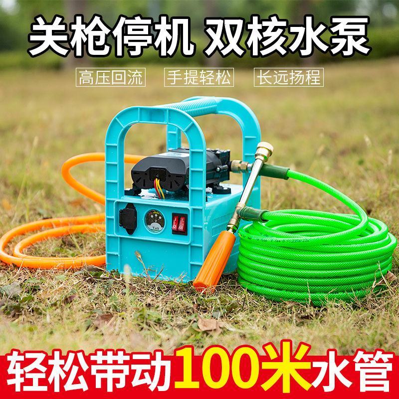 【厂家包邮】电动打药机多功能锂电池喷雾器双核泵充电式手提
