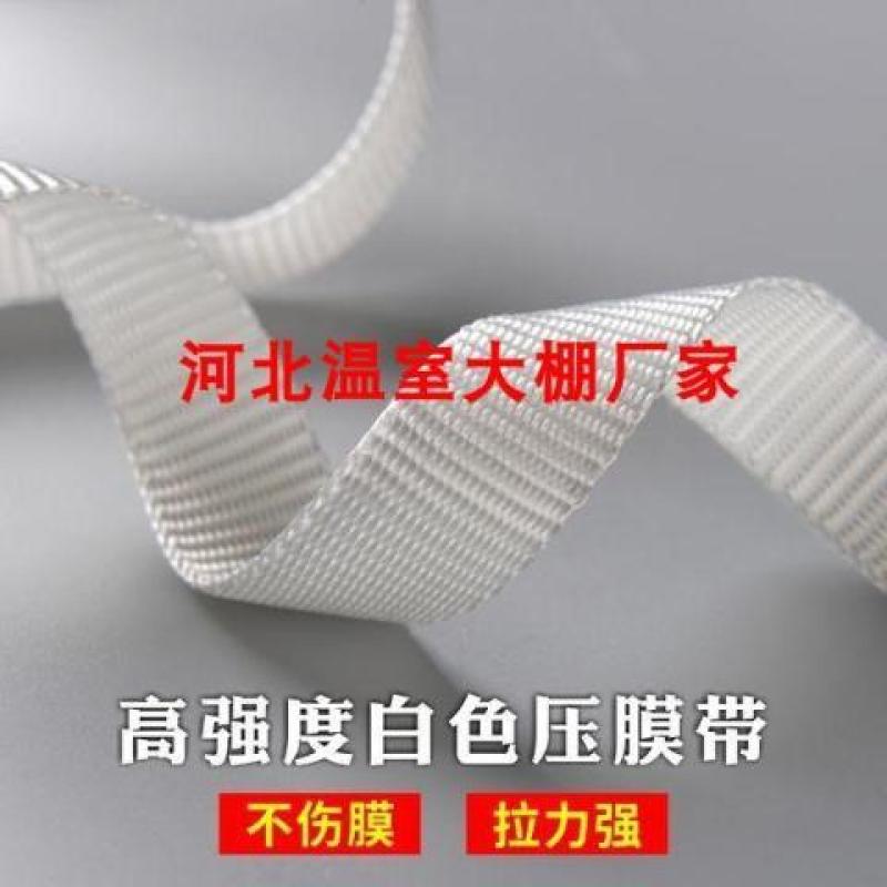 促销包邮园艺温室大棚配件压膜线绳葡萄线加厚白色抗老化压膜