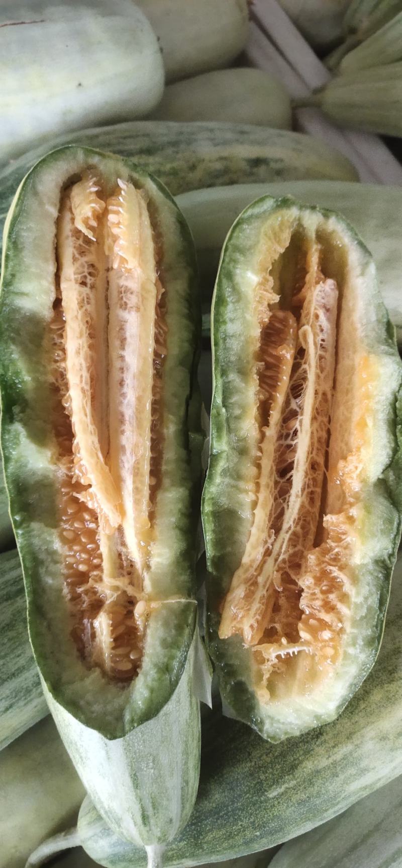 甜瓜，羊角蜜甜瓜大量供应，瓜条直，熟度好，糖分高。