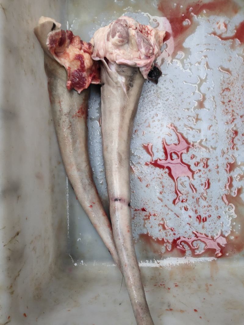 驴肉批发，新鲜平价驴肉，货真价实，欢迎大家前来选购