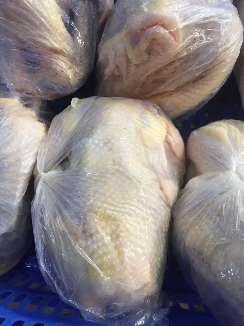 广东液氮冰冻胡须鸡，品质好口味佳欢迎选购