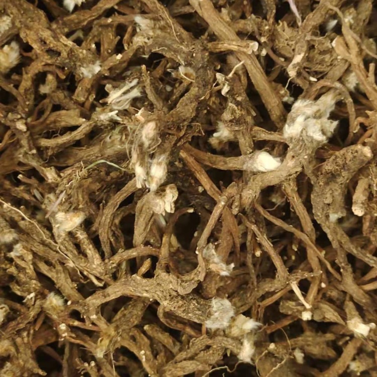 白头翁，白头翁中药材