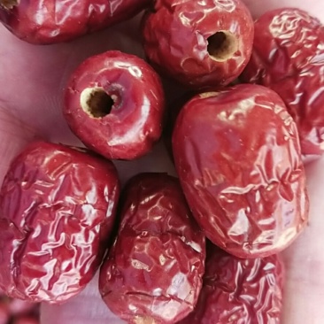 无核枣产地批发直供品质好价格低量大更优惠