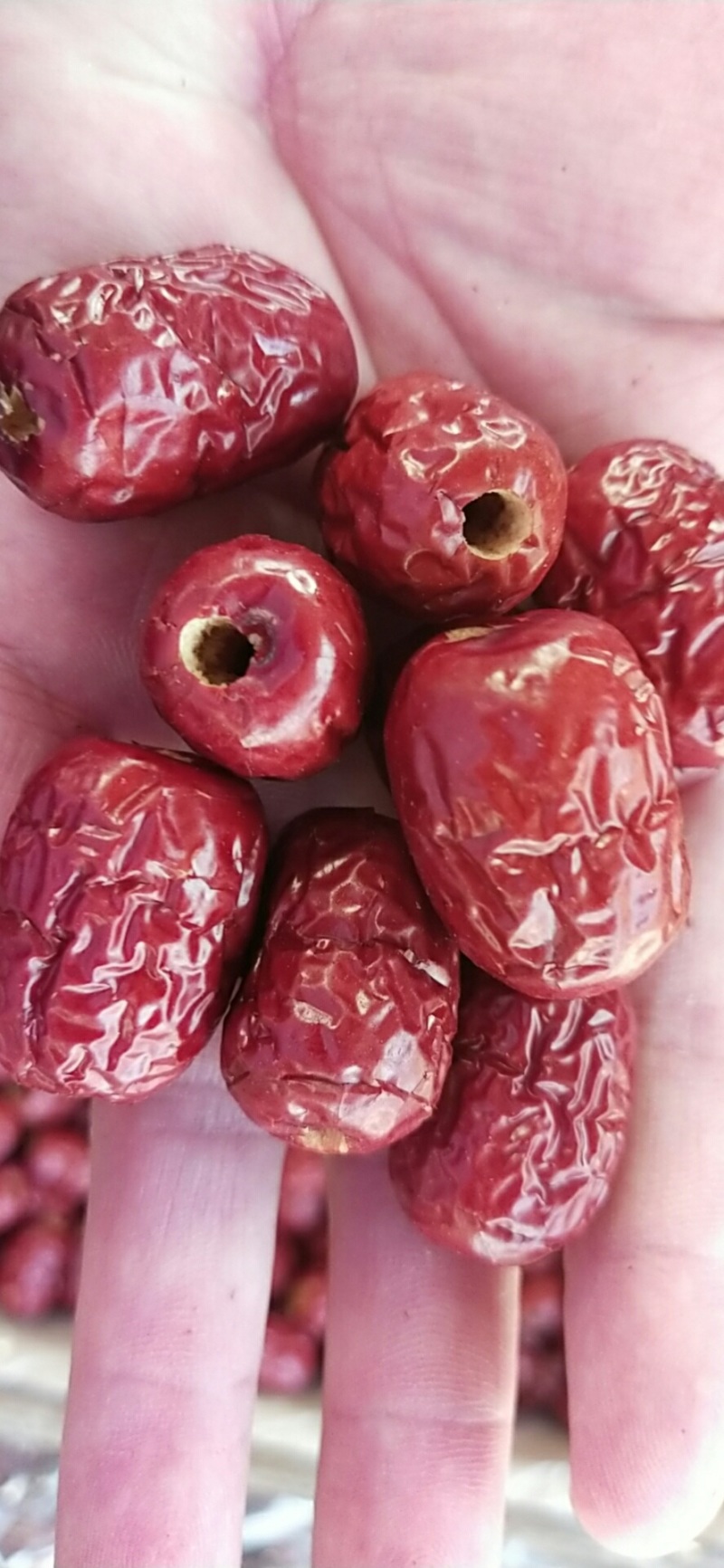无核枣产地批发直供品质好价格低量大更优惠