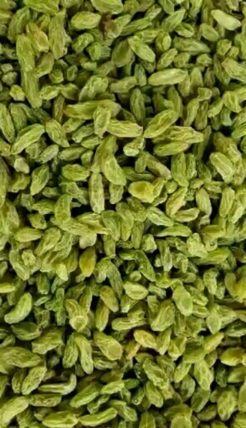 【电商产品】新疆绿宝石大颗粒葡萄干颗粒饱满一手货源