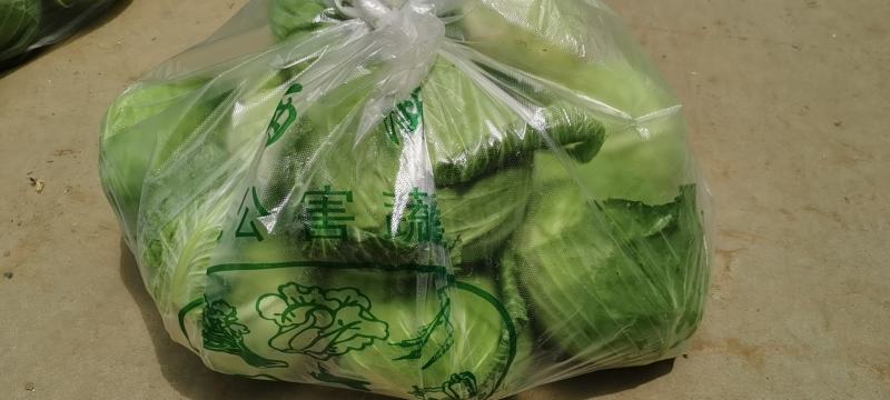 《湖北平包菜》产地批发/量大从优/全国发货/欢迎来电洽谈合作