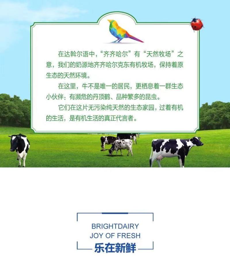光明有机纯牛奶200*12盒，29出，2000箱起批