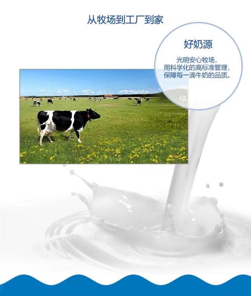 光明有机纯牛奶200*12盒，29出，2000箱起批