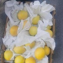 2021您新产季南非柠檬香水柠檬尤力克柠檬15公斤批发
