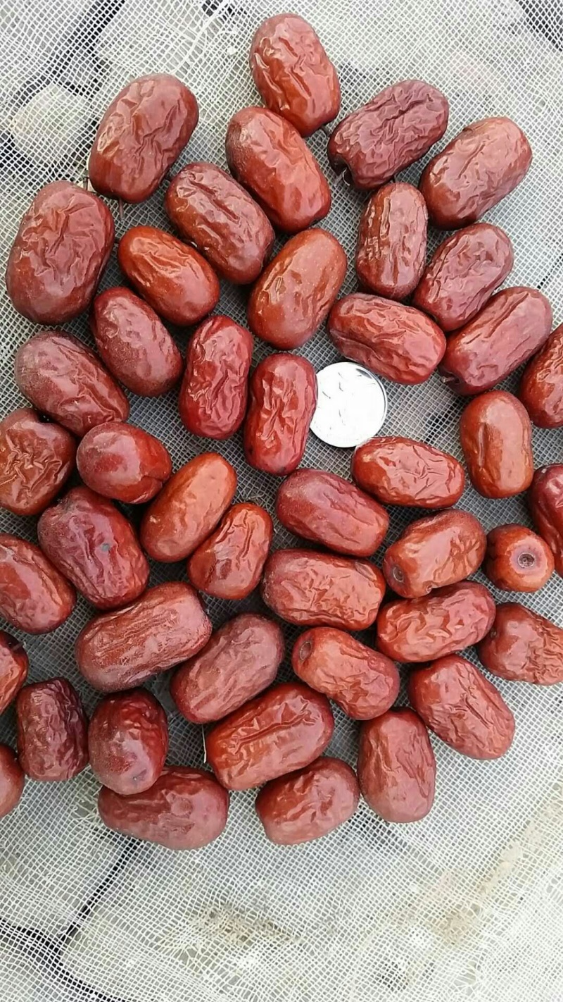 无核枣，去核枣厂家直供货源充足，质优价廉