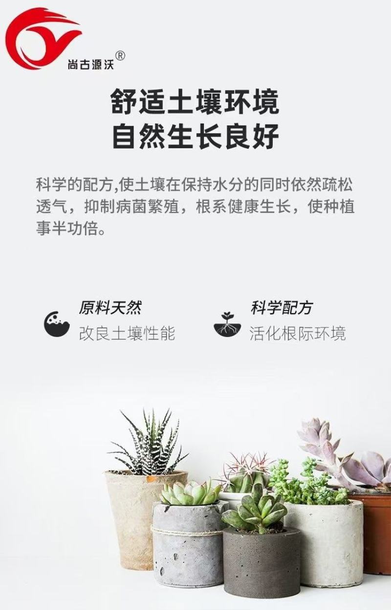 微生物菌剂根腐专用抗重茬防死棵有机质85%10亿菌