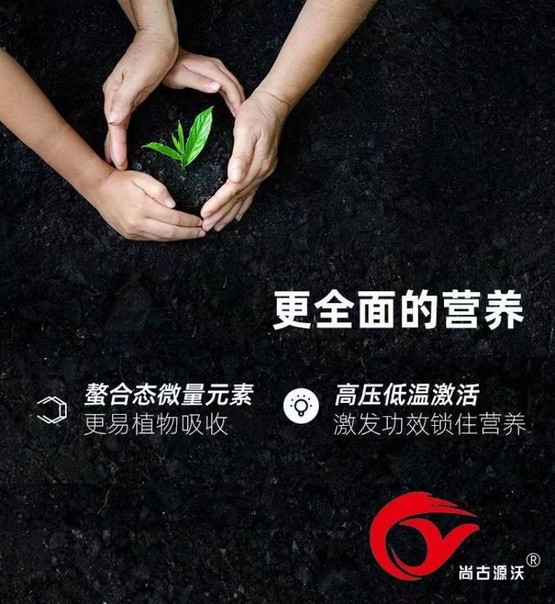 微生物菌剂根腐专用抗重茬防死棵有机质85%10亿菌