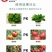 微生物菌剂根腐专用抗重茬防死棵有机质85%10亿菌