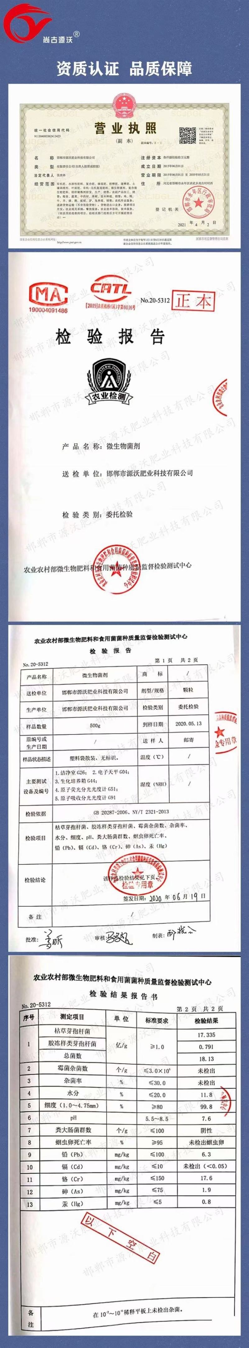微生物菌剂根腐专用抗重茬防死棵有机质85%10亿菌