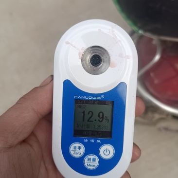 陕西甜王以上市