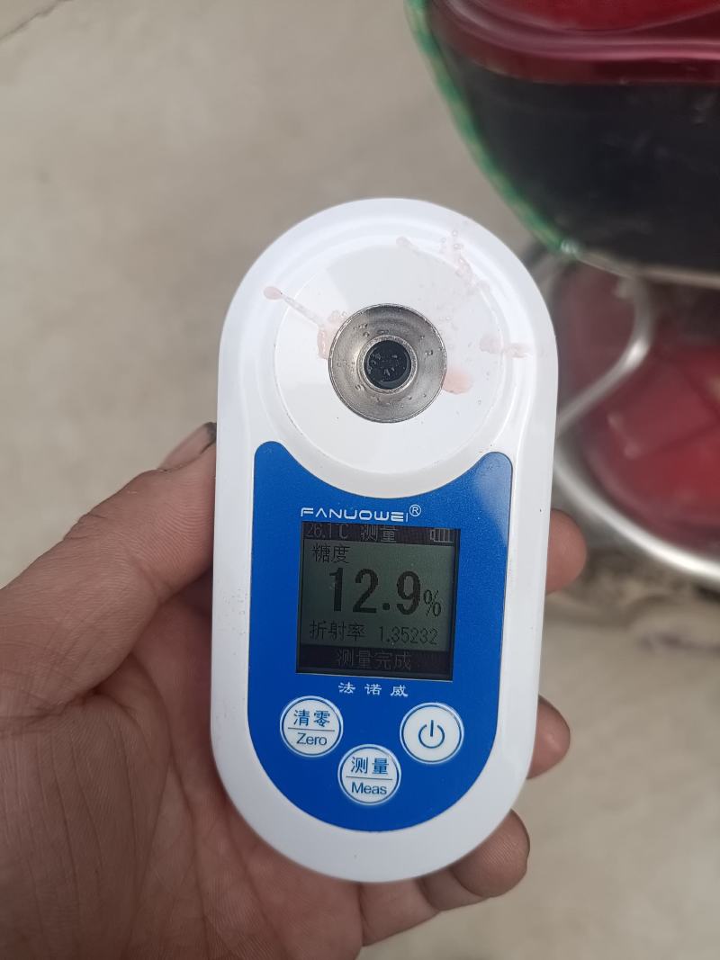 陕西甜王以上市