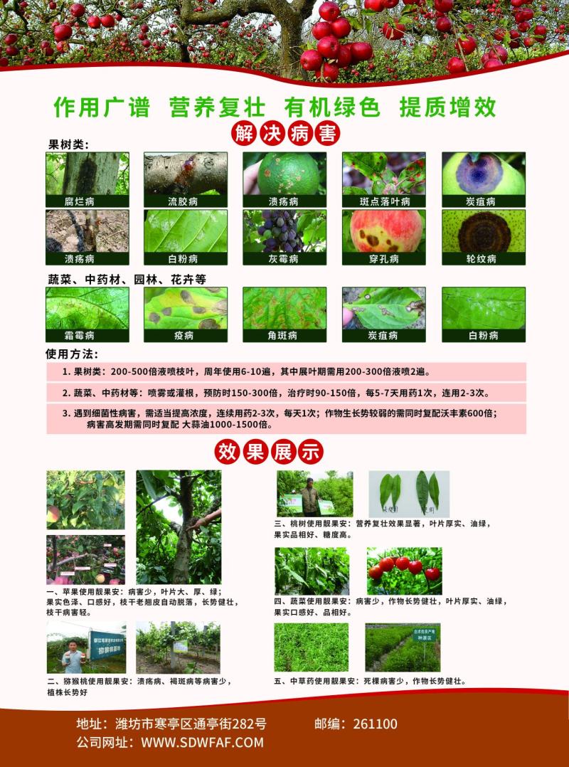 靓果安农药果树杀菌剂流胶柑橘猕猴桃叶斑病芒果角斑病褐斑