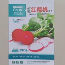 【精品】红樱桃三系杂交水果萝卜种子香脆可口