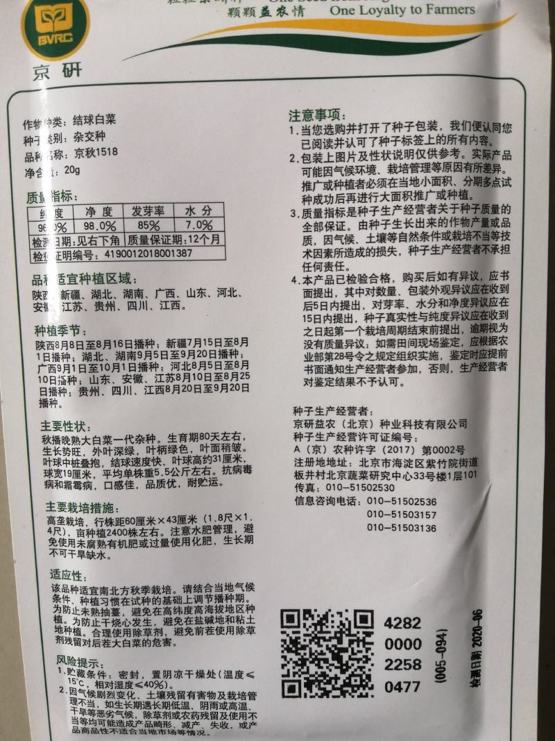 精品冬白菜新品种京秋1518