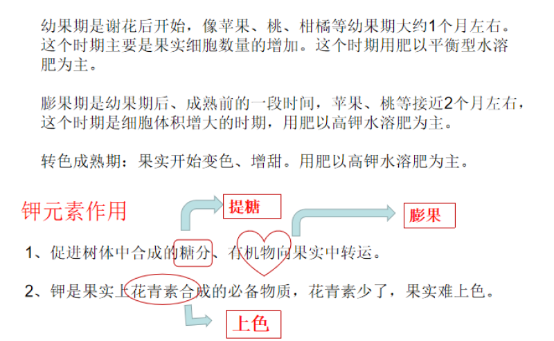 膨果转色钾促进树体合成糖分和青花素合成膨果转色增甜专用