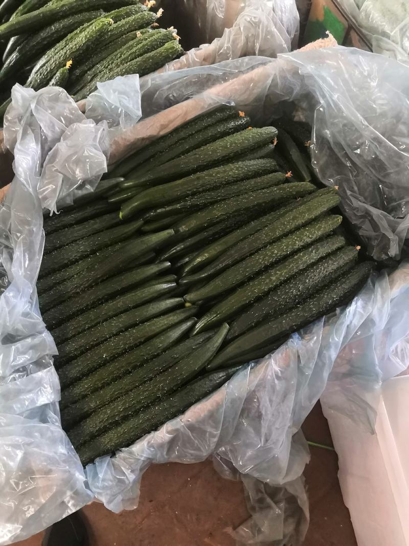 黄瓜密刺干花产地直销市场，超市。顶花带刺绿心瓜