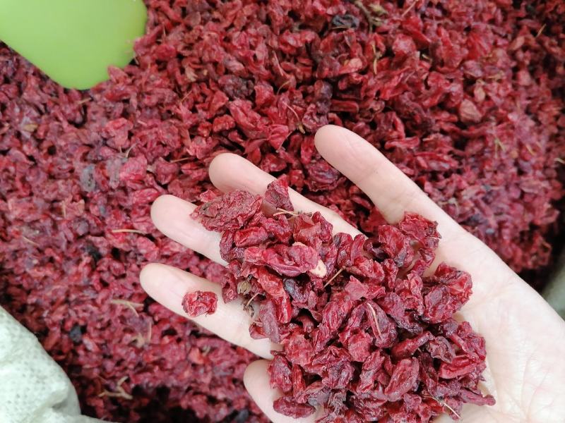 山茱萸山芋肉山萸肉枣皮各种各样中药材批发