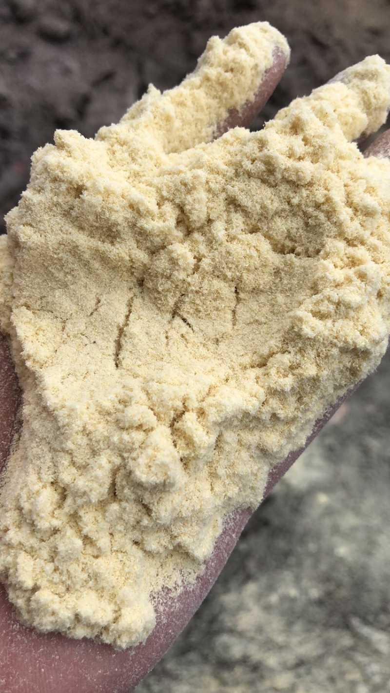 竹粉粉碎加工60目全通