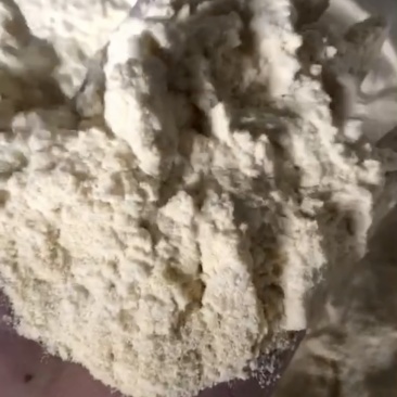 竹粉粉碎加工60目全通