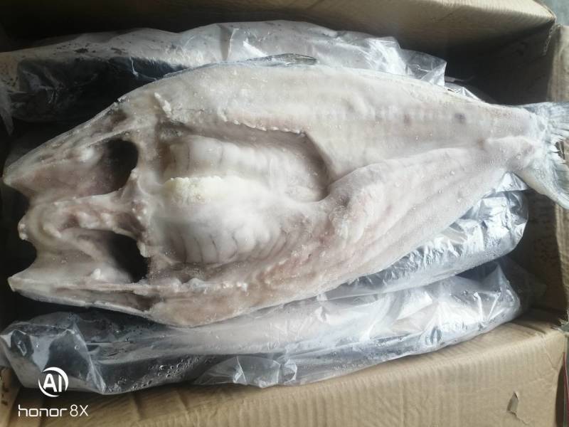 特级巴沙鱼批发整箱无冰干冻整条湄公鱼烤鱼批发