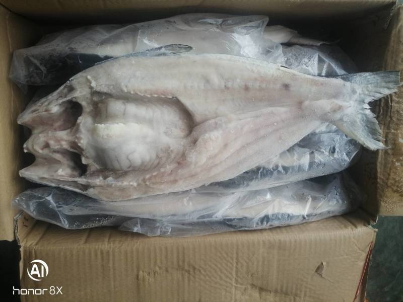 特级巴沙鱼批发整箱无冰干冻整条湄公鱼烤鱼批发