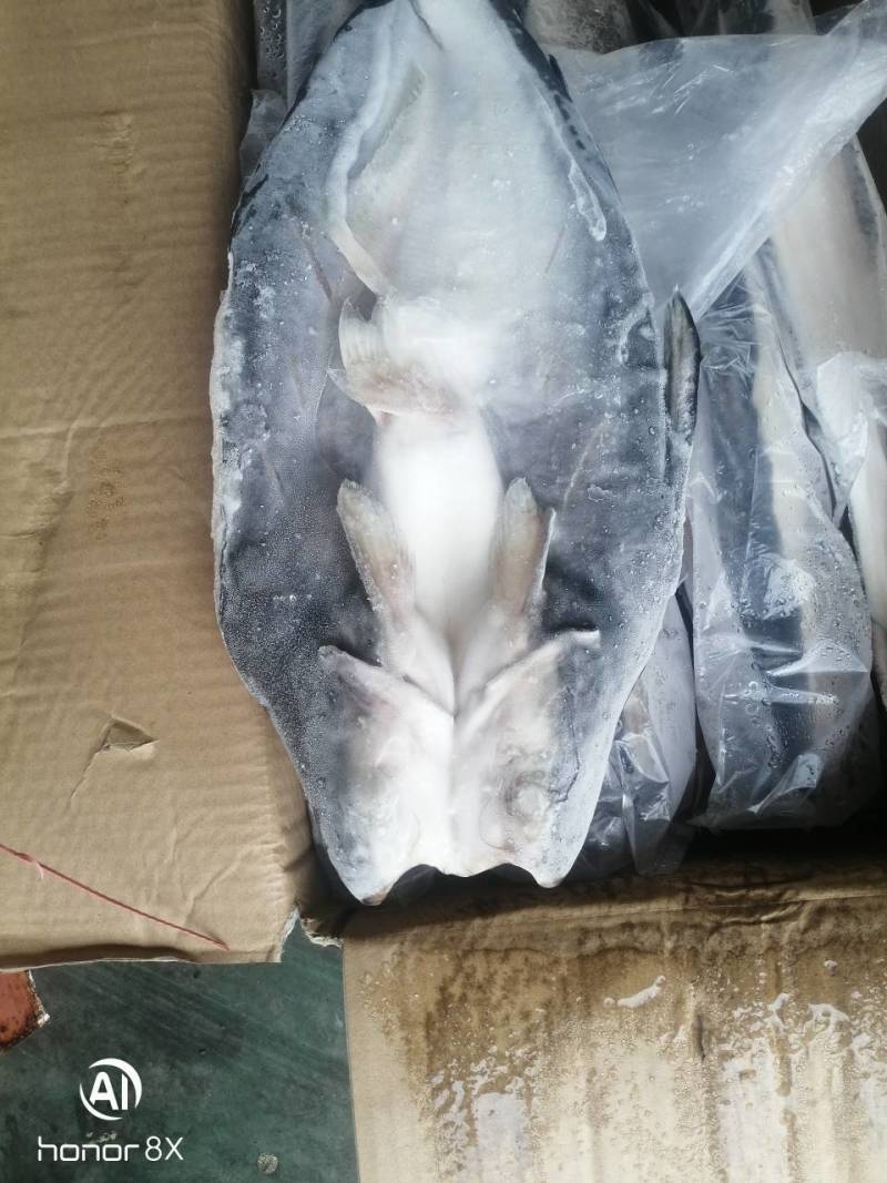 特级巴沙鱼批发整箱无冰干冻整条湄公鱼烤鱼批发