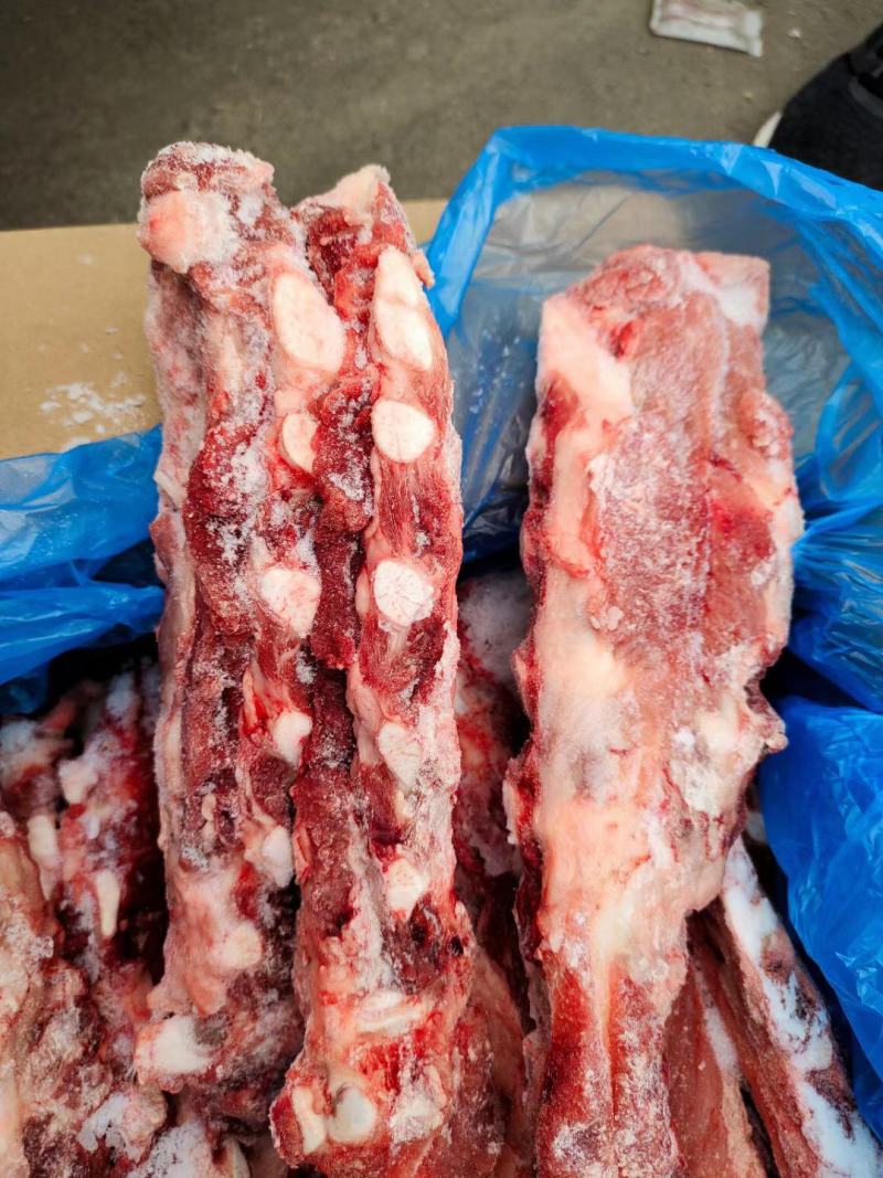 帕特尔胸骨价格美丽欢迎前来选购