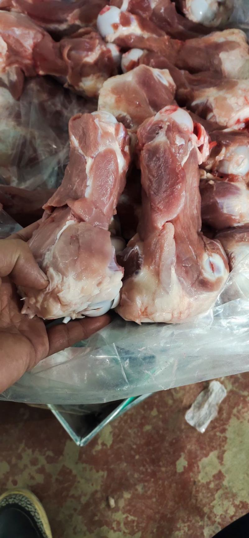 前腿骨价格不高需要的联系我