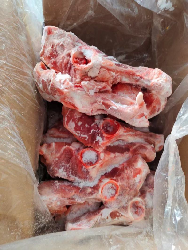 叉尾骨价格美丽欢迎前来选购