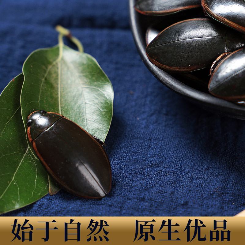 晒干龙虱中药材金边龙虱龙狮龙虱粉水鳖虫射尿龟保质保