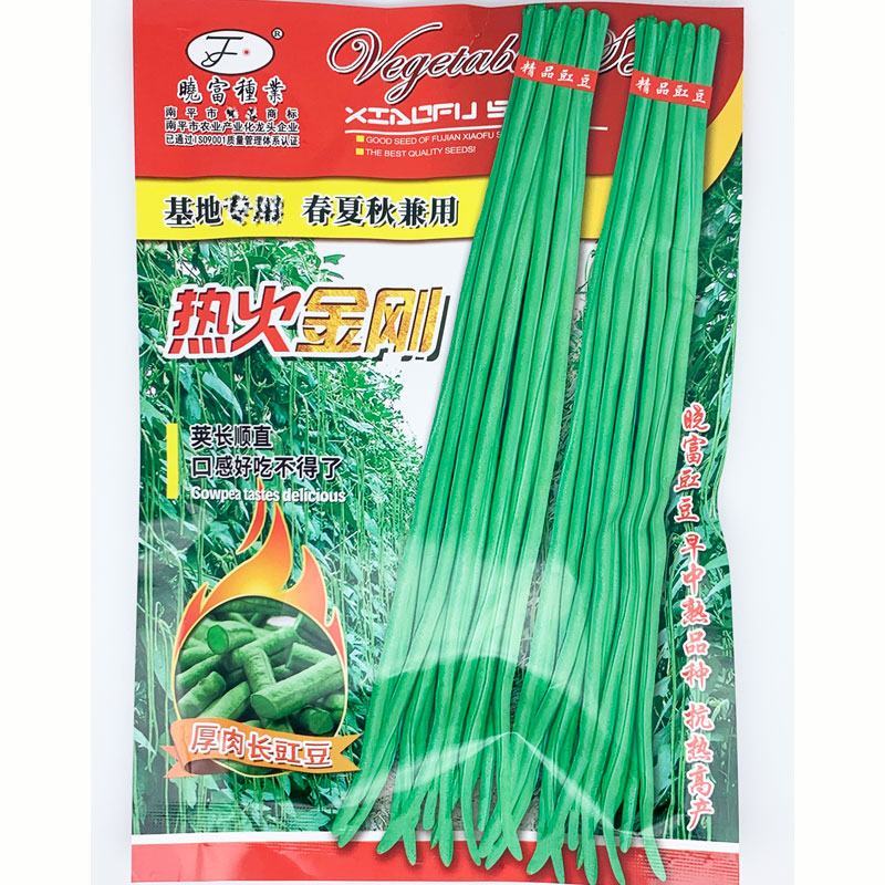 热火金刚耐热豇豆种子顺直耐老化油亮翠绿色豇豆种200克
