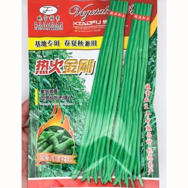 热火金刚耐热豇豆种子顺直耐老化油亮翠绿色豇豆种200克