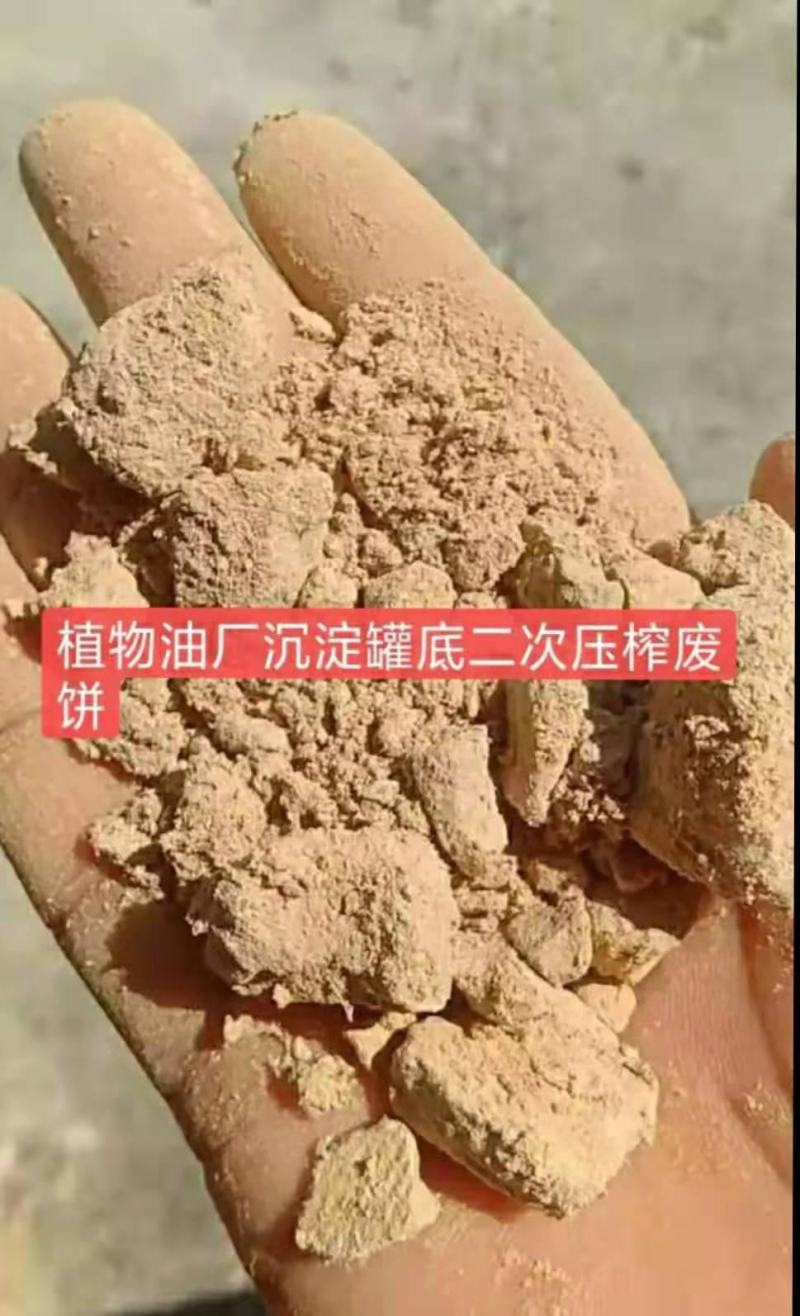 油渣粉…………有需要的可以在一亩田联系我