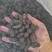 A级速冻桑葚原料冷冻桑葚工厂直供酒厂货奶茶原料