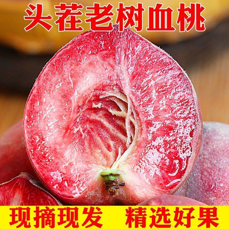 血桃离核桃朱砂红桃产地直发承接全国客商量大场地大