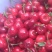 汉源车厘子，黑珍珠大樱桃香甜多汁新鲜美味现摘现发