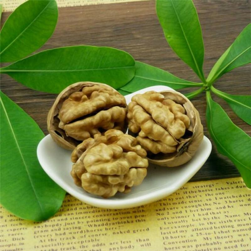 电商直供，薄皮核桃，规格齐全颗粒饱满，质优价廉