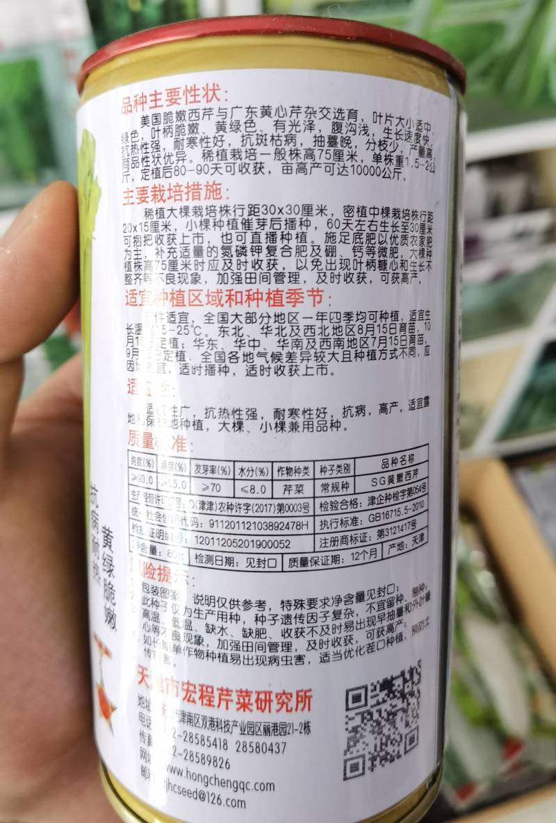 黄嫩西芹种子进口耐热耐高温高芽率黄绿油亮芹菜种子
