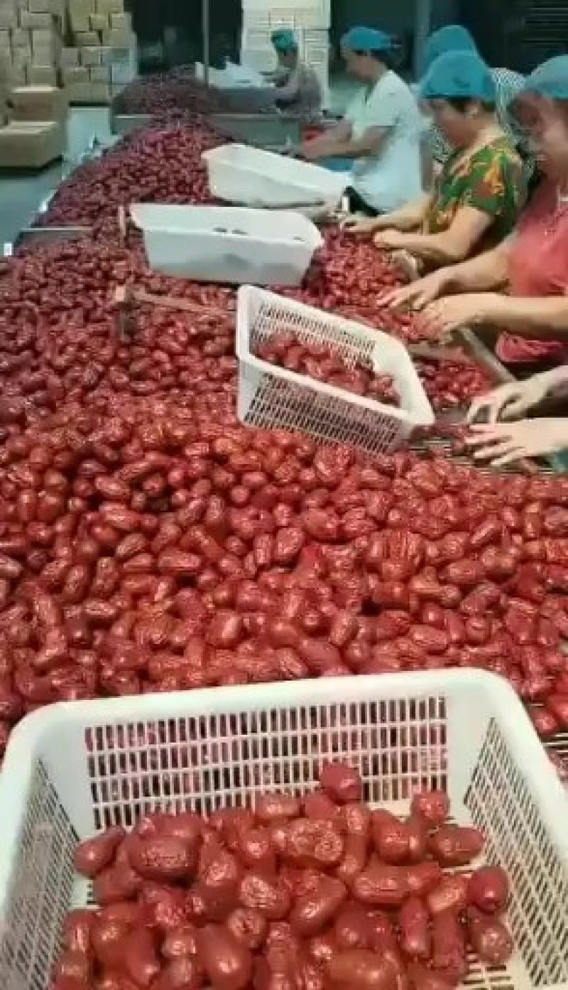无核枣人工去核枣加工厂直供一手货源品质好价格美丽