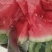 荔枝