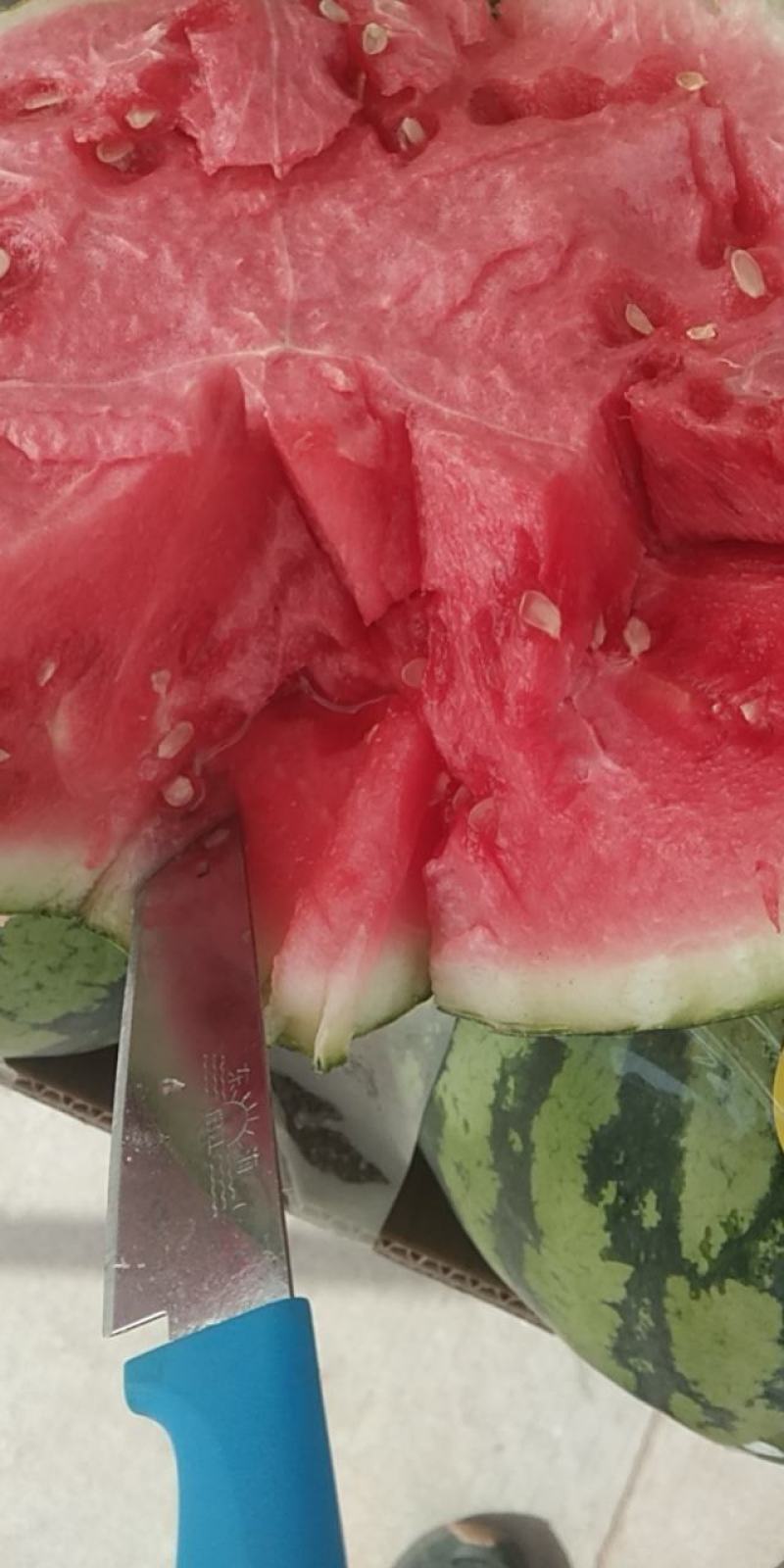 荔枝