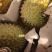 荔枝