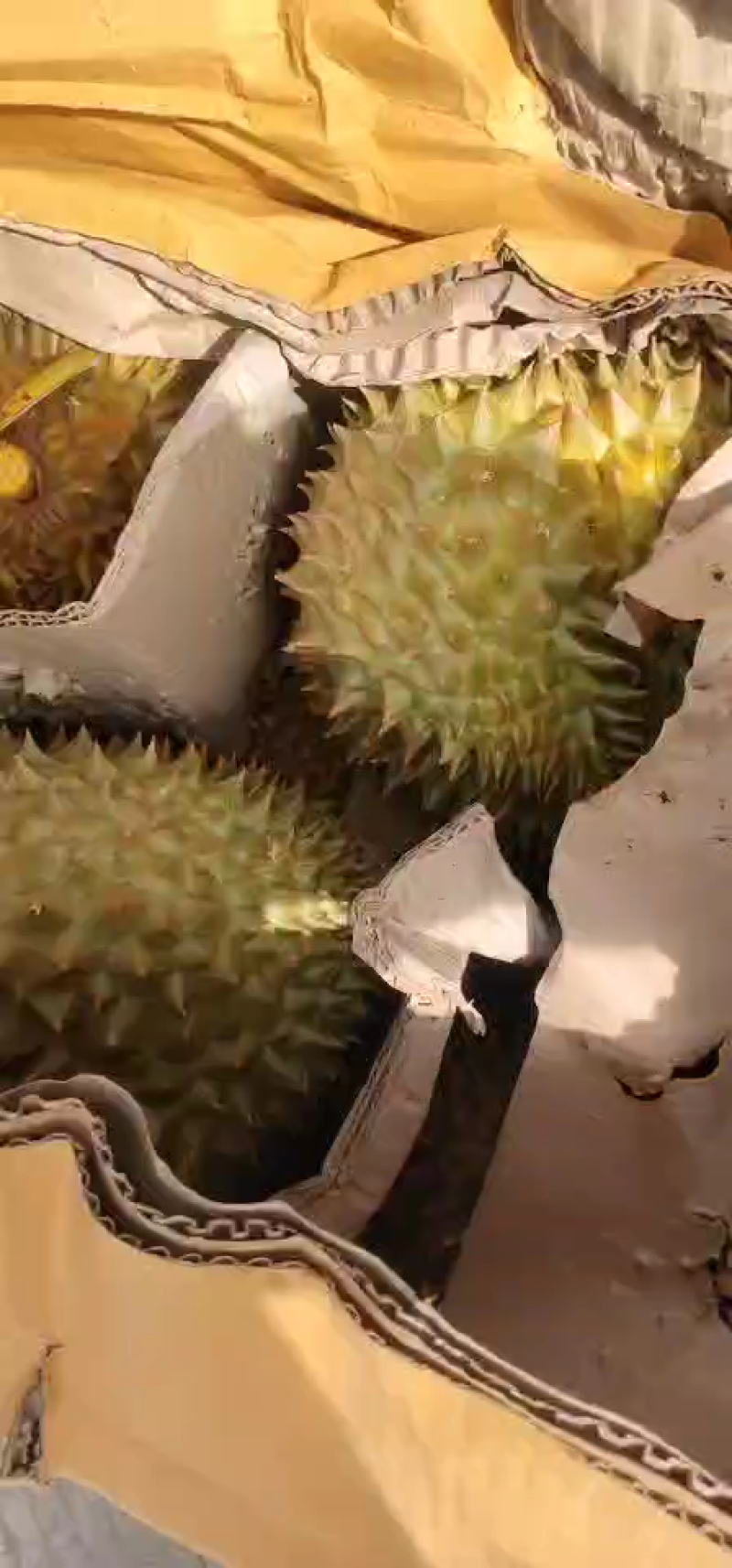 荔枝