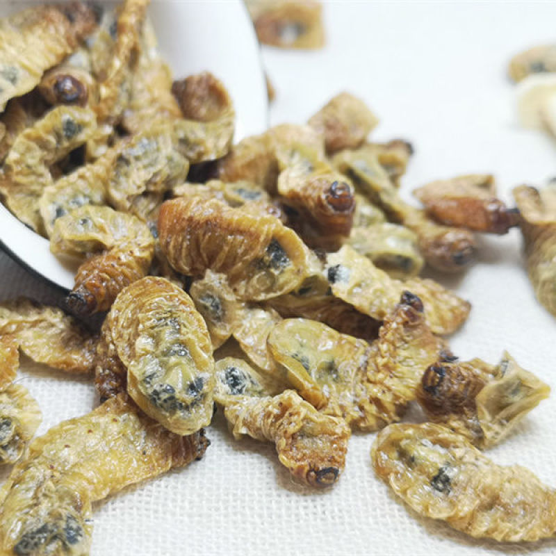蛴螬野生中药材蛴螬土蚕老母虫核桃虫蛴螬虫可磨蛴
