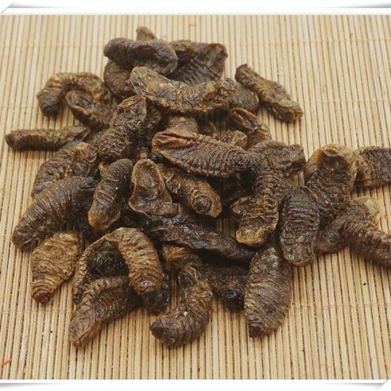 蛴螬野生中药材蛴螬土蚕老母虫核桃虫蛴螬虫可磨蛴